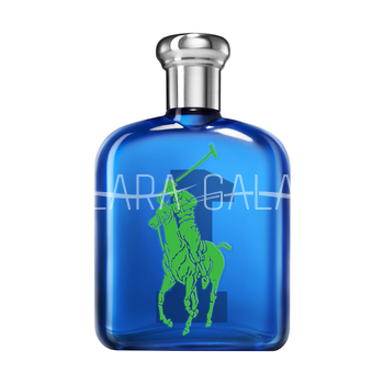 RALPH LAUREN Big Pony 1